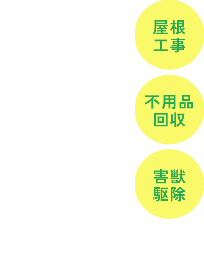 シロアリ、害虫、害獣駆除はお気軽に当店へ